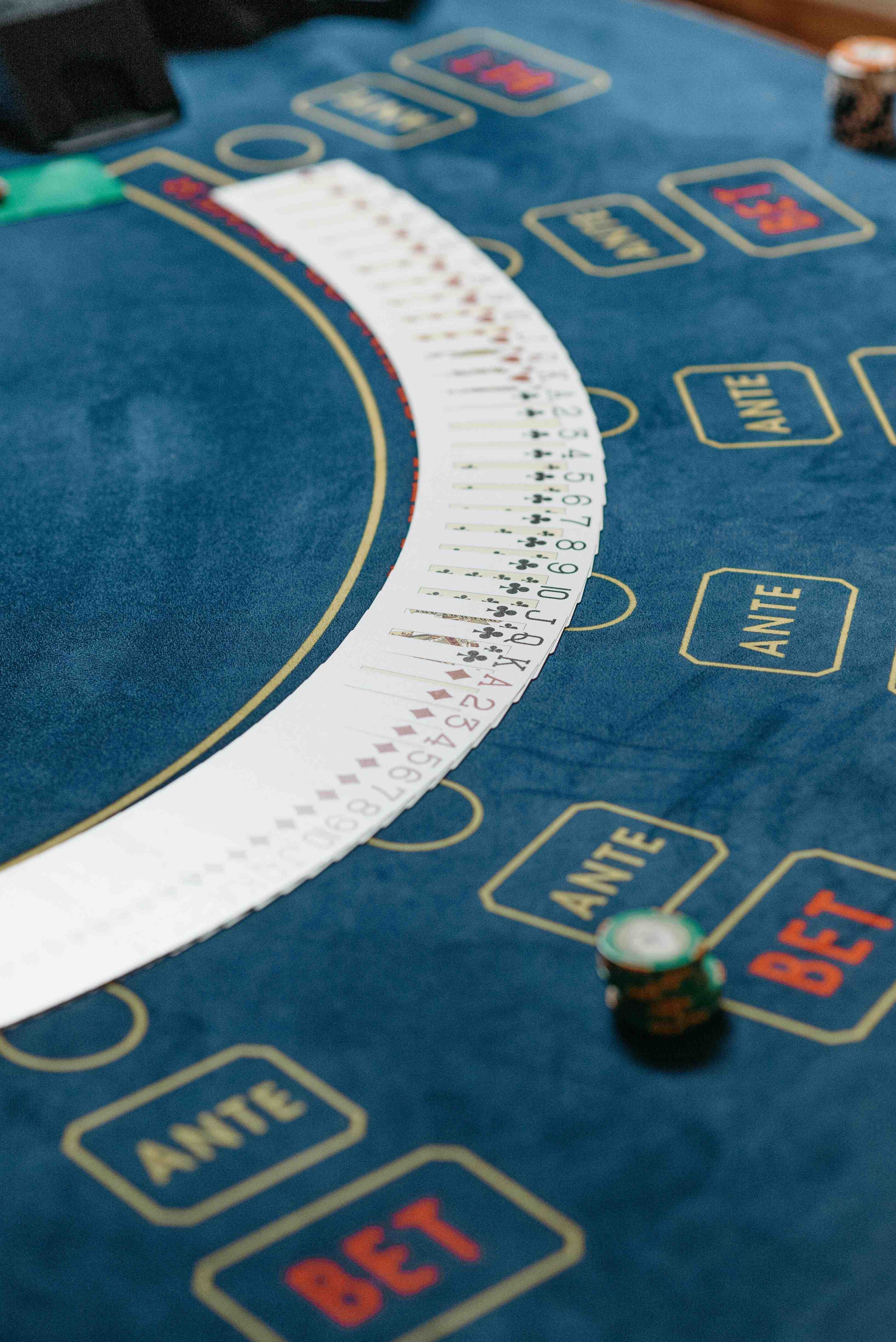 casino365