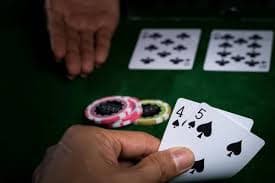 casino365